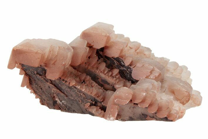 Pagoda Style Calcite Crystals on Calcite - Fluorescent! #215948